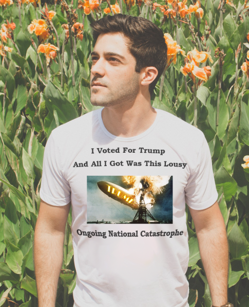 I Voted For Trump And All I Got Was This Lousy Ongoing National Catastrophe