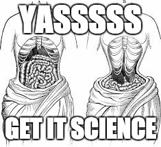 Before and after of a womans organs, having been crushed by a corset. Reads, "YASSSSS! GET IT SCIENCE"