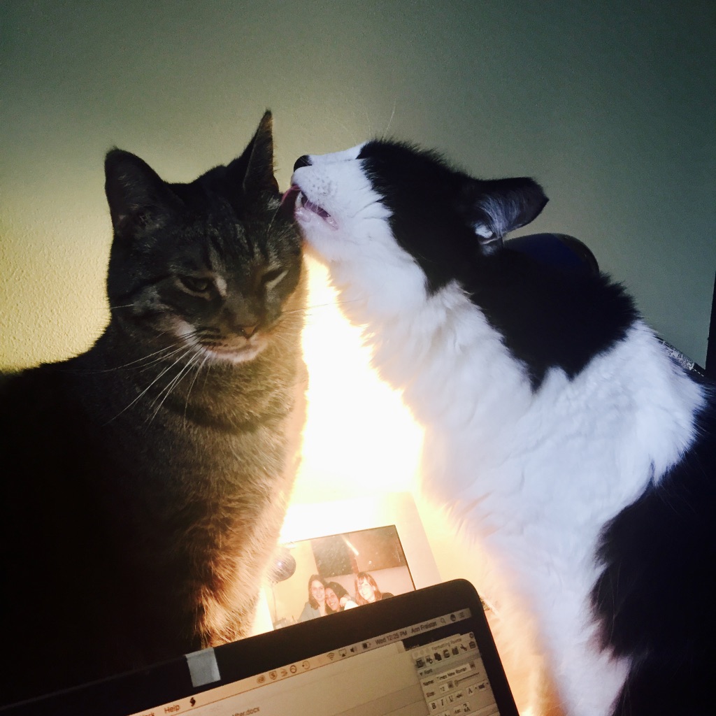 8271A0E6-89BC-4066-9A91-6D656BE84F94_1_105_c