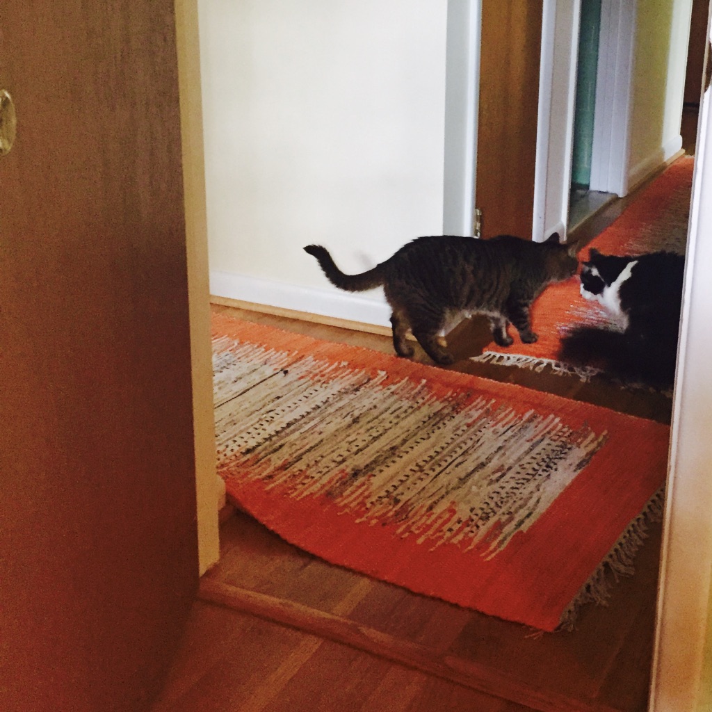 87F9AF48-BDA6-4001-A709-053971D7EEF4_1_105_c