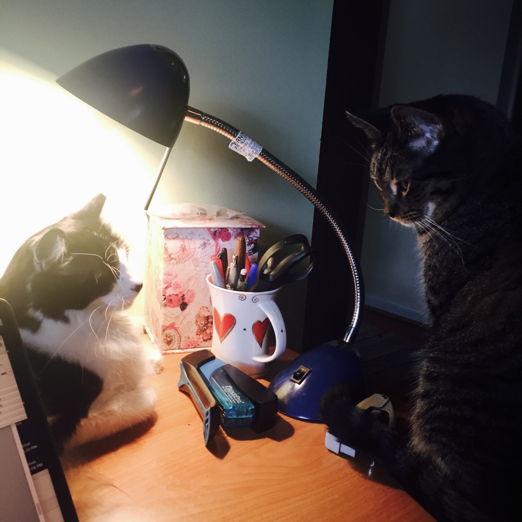 963BFEA3-31DC-4DA4-86D2-D10E39564674_1_105_c