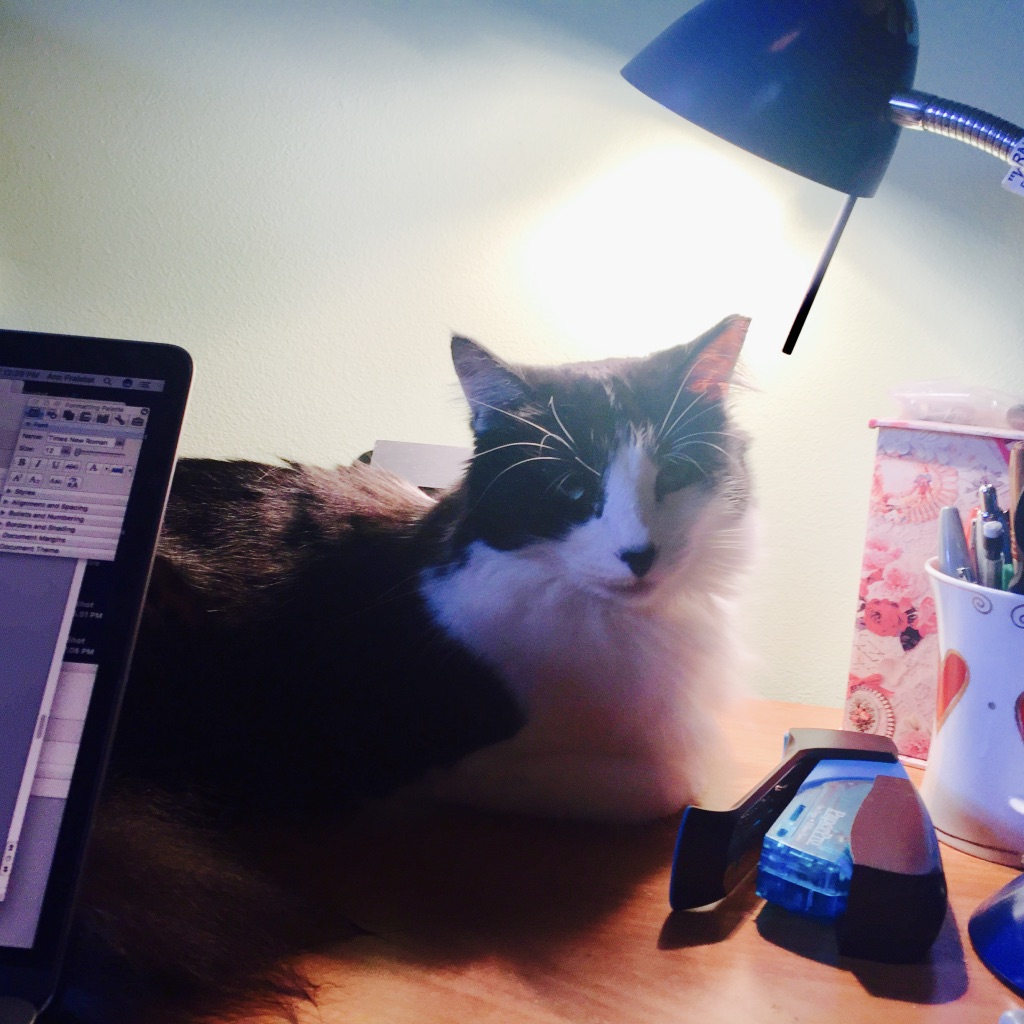 A16392A2-DD73-4951-8E43-914FAA1866C1_1_105_c