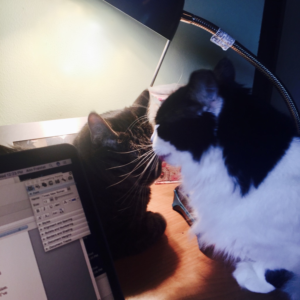 CB57758B-CA5A-451F-AD91-CDF858DD619B_1_105_c