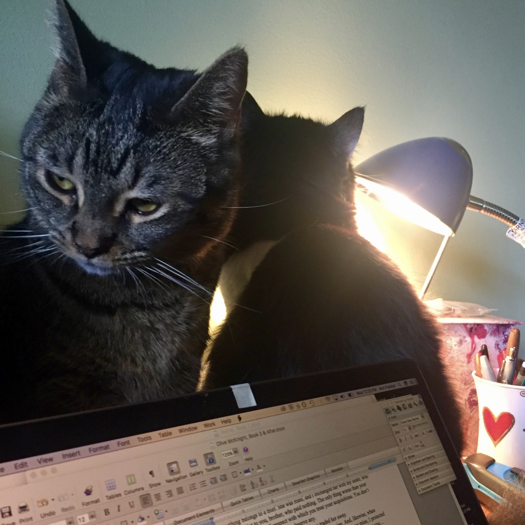 CE2FD1AA-69FE-40E8-979B-71BC0B7D118E_1_105_c